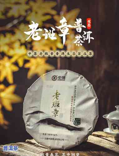 老班章普洱茶：品质越，值得品鉴的茶中之王