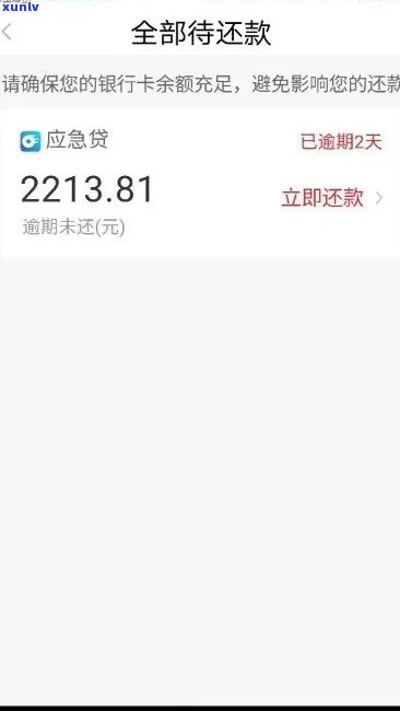 新逾期一天3000元罚息，如何避免信用受损？