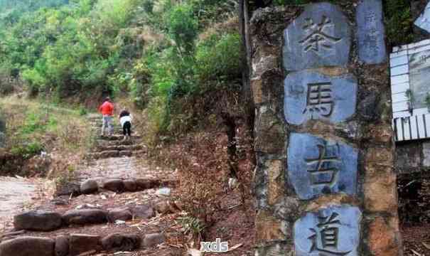 探索云南普洱茶马古道：一条充满历与文化的步之旅全攻略