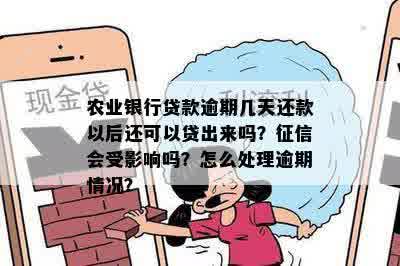 农行逾期还清影响其他贷款吗