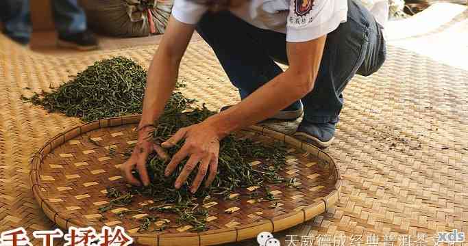 葫芦普洱茶制作全过程：如何让茶叶上色，掌握正确技巧与注意事项