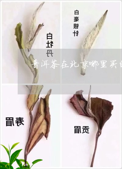 北京人不喜欢普洱茶