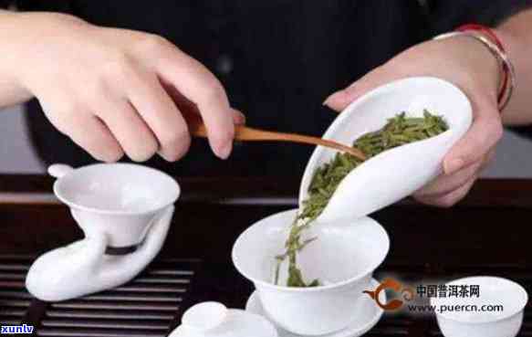 普洱茶分杯器使用指南：如何正确分配茶叶、提高品鉴口感