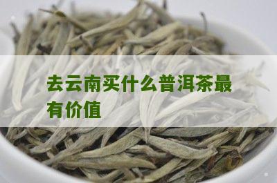 云南普洱茶哪个最值得购买？