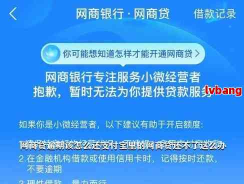 网商贷逾期后恢复额度的全攻略：如何解决服务暂停问题