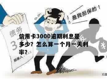 逾期一年的信用卡3000元，利息是否过高？怎么计算？