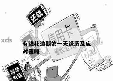 逾期一天数据处理中无法还款的原因及解决办法