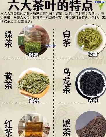      喝的茶叶及其好处与种类