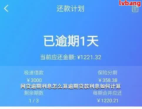 网贷逾期后多久会停止计算利息？如何正确处理逾期款项以避免额外损失？