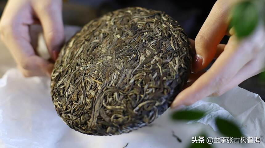 六大茶山之号级普洱茶：古树韵味、醇厚口感与精工艺的完美融合