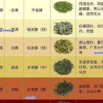 普洱茶号级茶名称大全：从古至今的精选茶叶名录