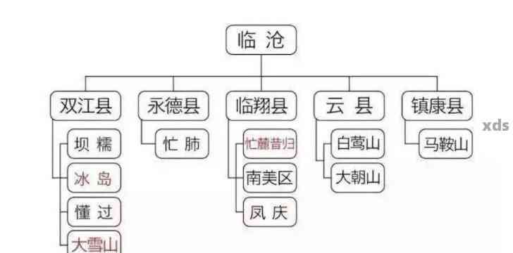 号级普洱茶六大茶山