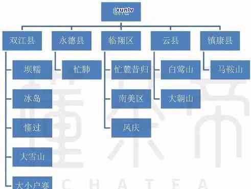 号级普洱茶六大茶山