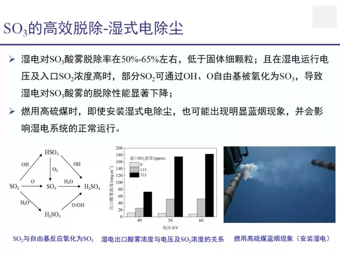 蓝龙纹石：特性、用途、鉴别方法与购买建议，一篇全面指南