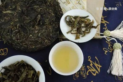 洛米普洱茶测评报告：品质与口感分析，带你领略云南大叶种的魅力