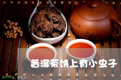 普洱茶里有小龟子吗