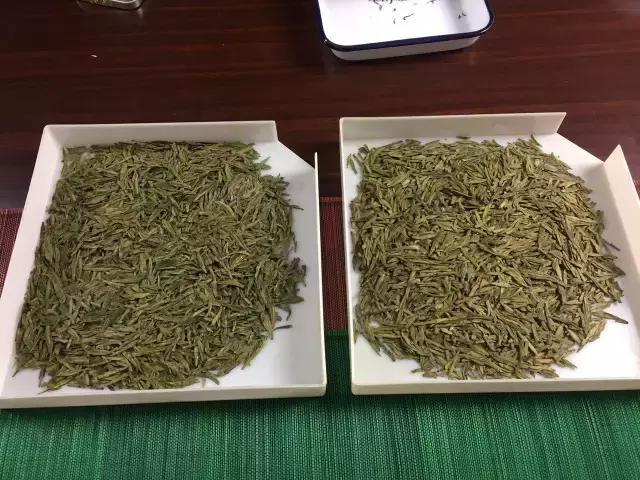 3g普洱茶用多少水