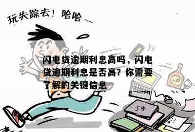 闪电贷逾期还款利息分析：高吗？有哪些应对策略？