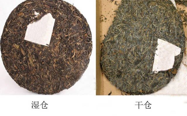 普洱茶生意：揭秘骗局与成功秘诀