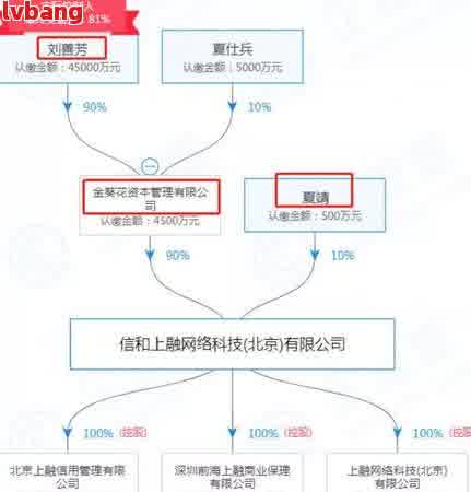 逾期还款对公司法人身份是否构成影响：网贷行业深度解析