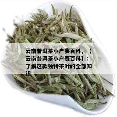 普洱茶小户赛：一种独特的云南茶叶品种及其品鉴技巧