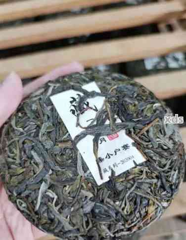 普洱茶小户赛：一种独特的云南茶叶品种及其品鉴技巧