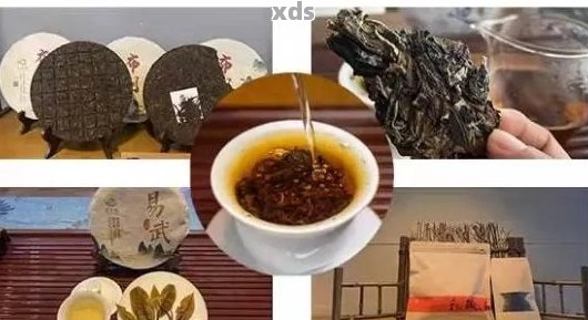 普洱茶的保存期限及适宜饮用时间解析：了解何时品茗