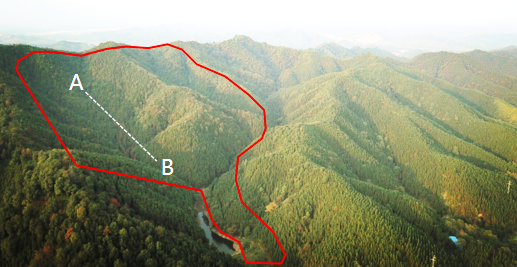 自留山是永久的吗？自留山的定义、界限和性质