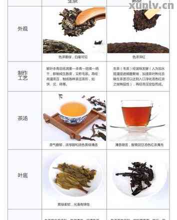 紫牙普洱茶：品种特点、口感、功效与冲泡方法全方位解析