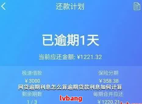 十万网贷逾期三年还款金额计算及逾期一年还款情况