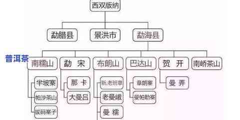 普洱茶属于六大类茶吗？还有哪些其他类型的茶？