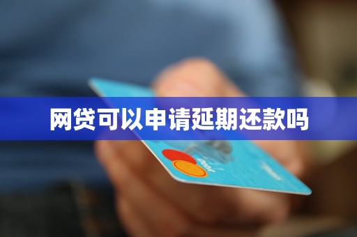 '网贷一次性还款申请：安全与否，现在能否实现？'