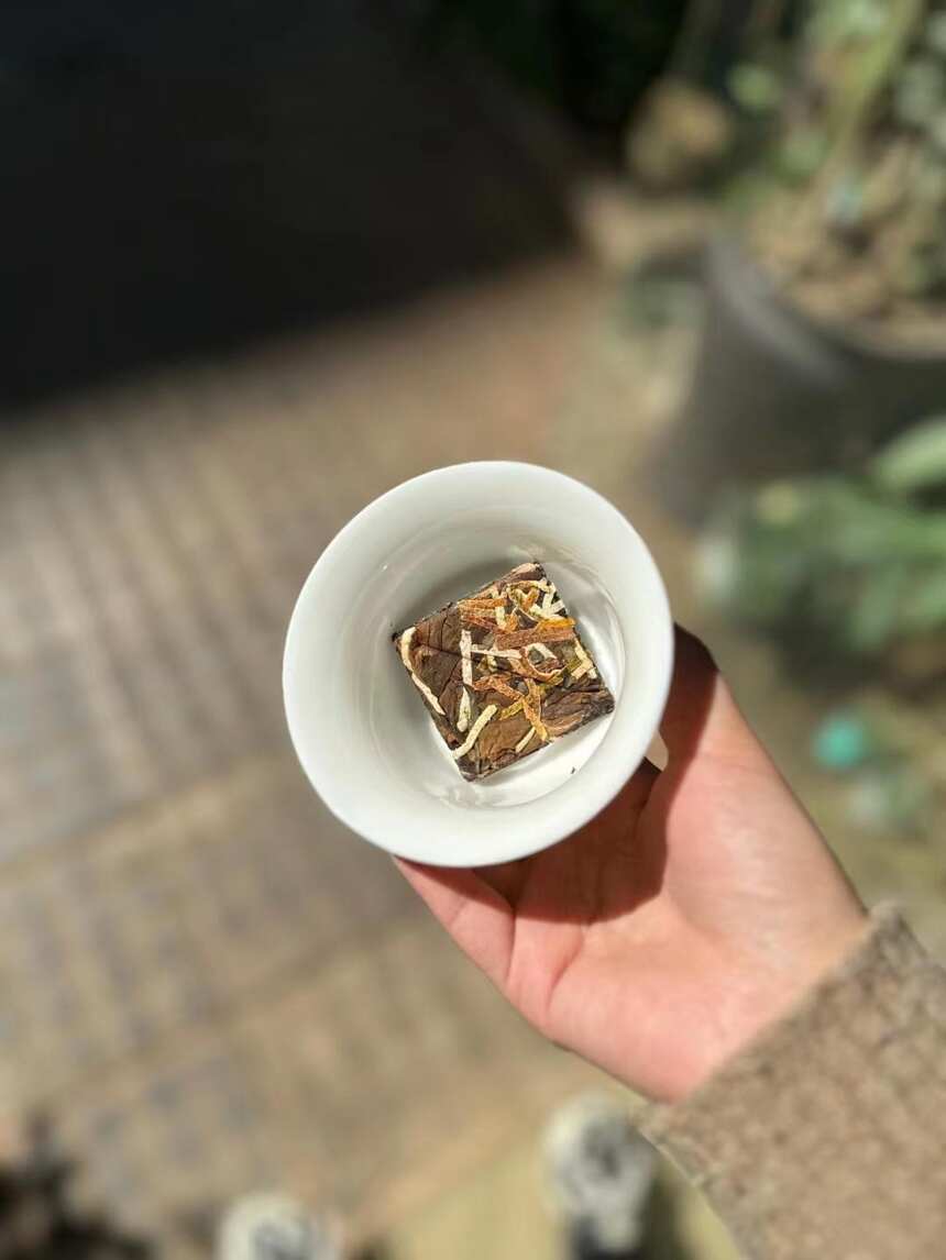 静静的喝一杯普洱茶