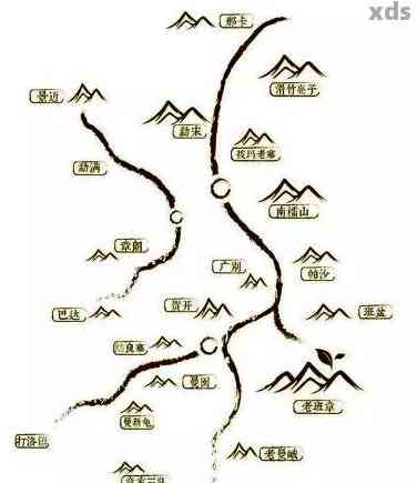 探索普洱茶的地理之源：古六大茶山与新六大茶山的文化与生态差异