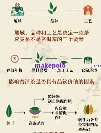 普洱茶特级品质详解：如何选择的普洱茶？