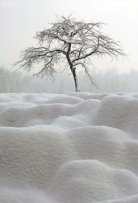 百花山雪场与玉舍雪场的区别：百花山雪景壮观，大雪纷飞，降雪量丰富。