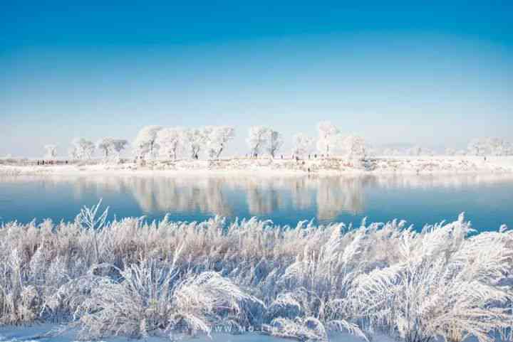 百花山雪场与玉舍雪场的区别：百花山雪景壮观，大雪纷飞，降雪量丰富。