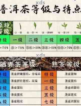 勐腊县普洱茶：探索与比较各类优质普洱茶的精选指南