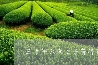 普洱茶三年七年十年