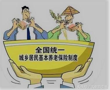 提前还款万用金的全面影响及应对策略：了解这些后果避免不必要的损失