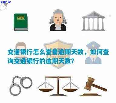 如何查询交通银行信用卡欠款总额及相关费用，以及还款计划和逾期罚息