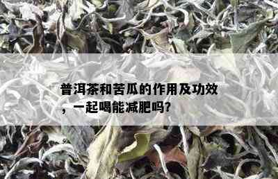 苦苣配普洱茶的功效与作用：健益处及注意事项