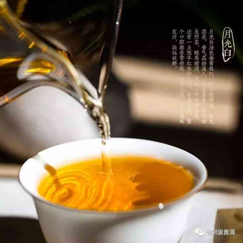 普洱茶与灯光：一场光影之恋