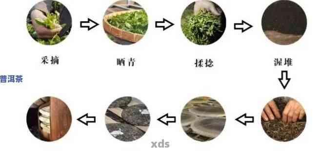 普洱茶枣香发酵成熟工艺流程