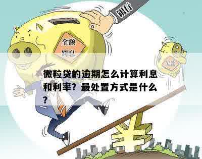 新微粒贷当天借款利息计算方式解析，是否存在当天计息情况？