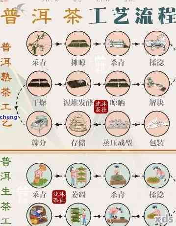 新深度解析：普洱茶拼配工艺的科学原理与实践技巧