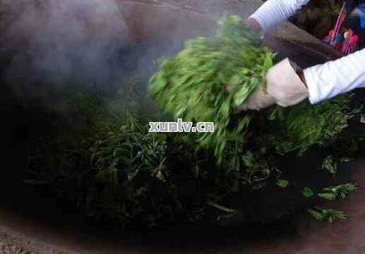 普洱茶的杀青工艺流程及细节问题