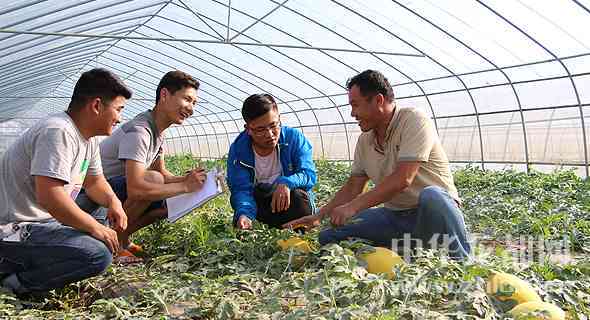 庆阳地区哪里适合种植玉米？请提供详细的地点信息。