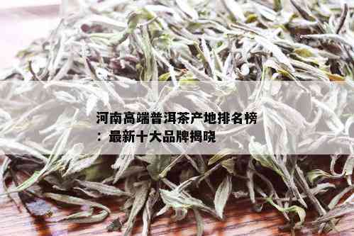 河南做普洱茶的公司排名：前十强和之一名推荐，包含完整河南茶叶公司名单