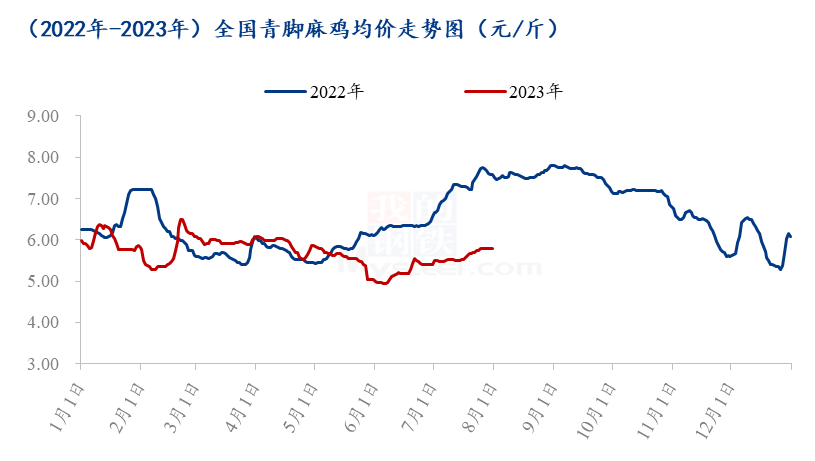 新会青柑价格行情走势及产区分析：江门新会青柑茶功效探讨